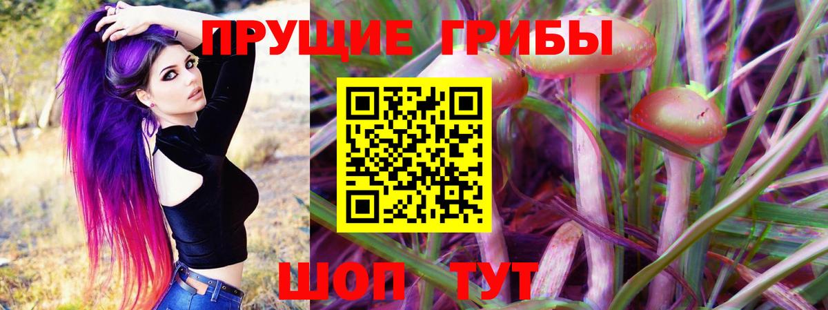 Псилоцибиновые грибы Magic Shrooms  Вход с VPN  Кингисепп 