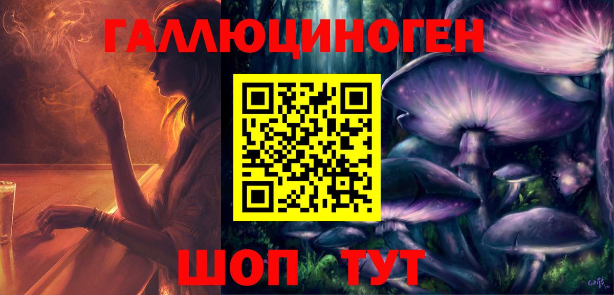 Галлюциногенные грибы Cubensis Кингисепп